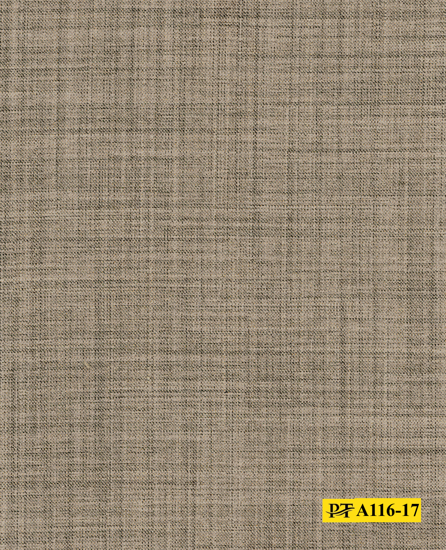 light-beige-by-massimo-milan-a116-17